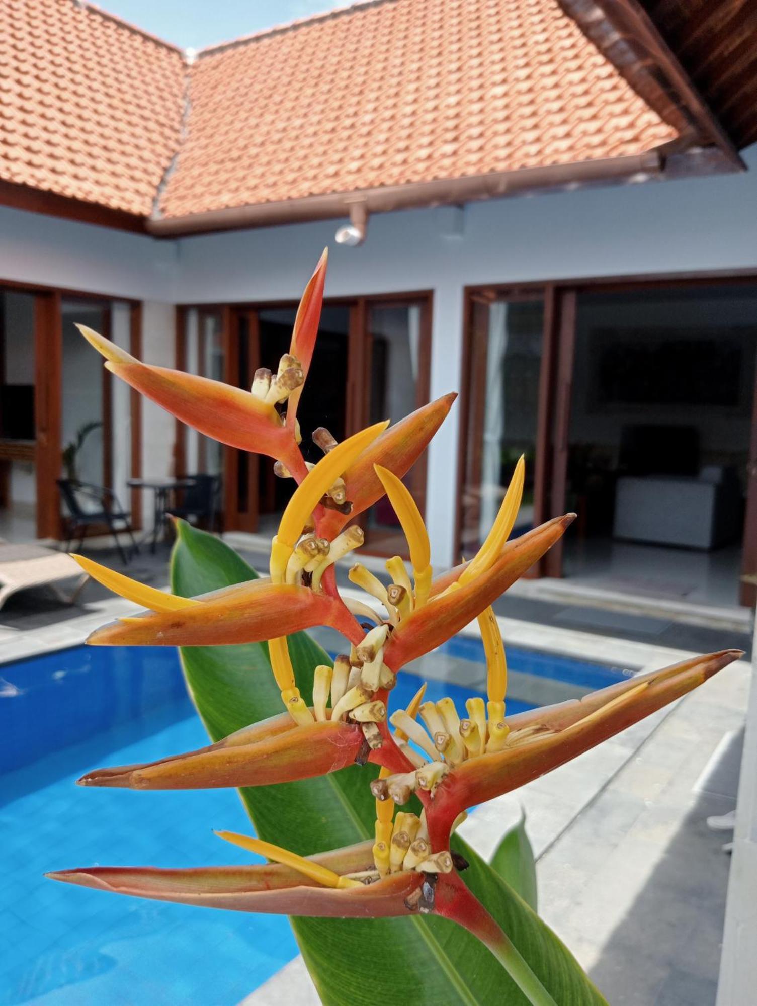 Pondok Indah Villa Ujung Dış mekan fotoğraf